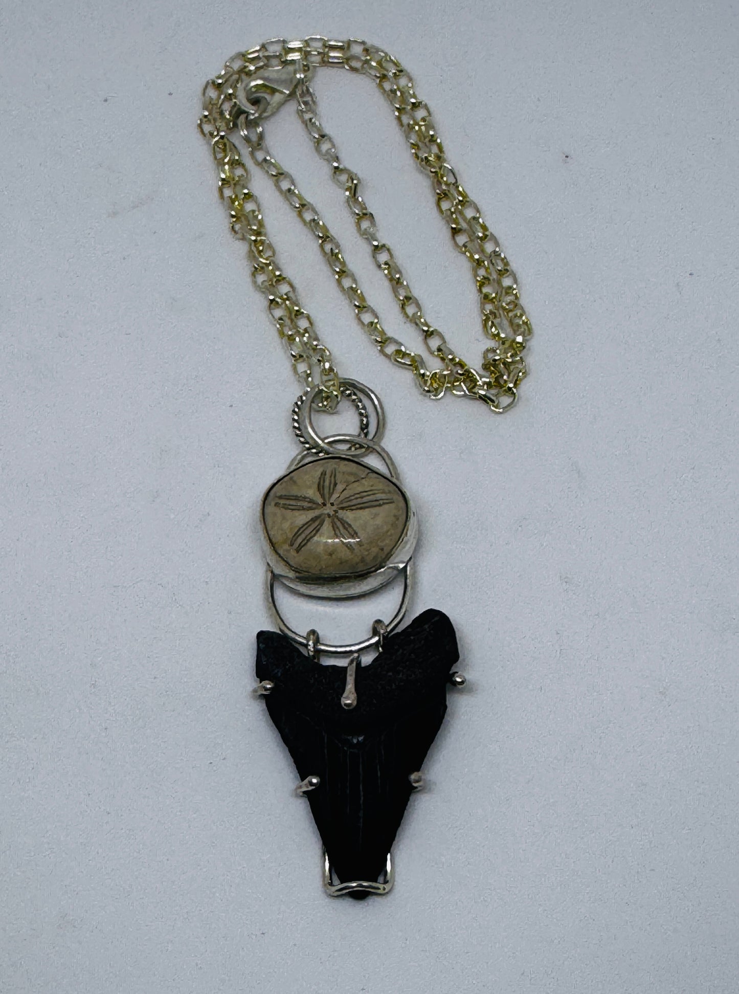 Shark Tooth and Sea Biscuit Necklace