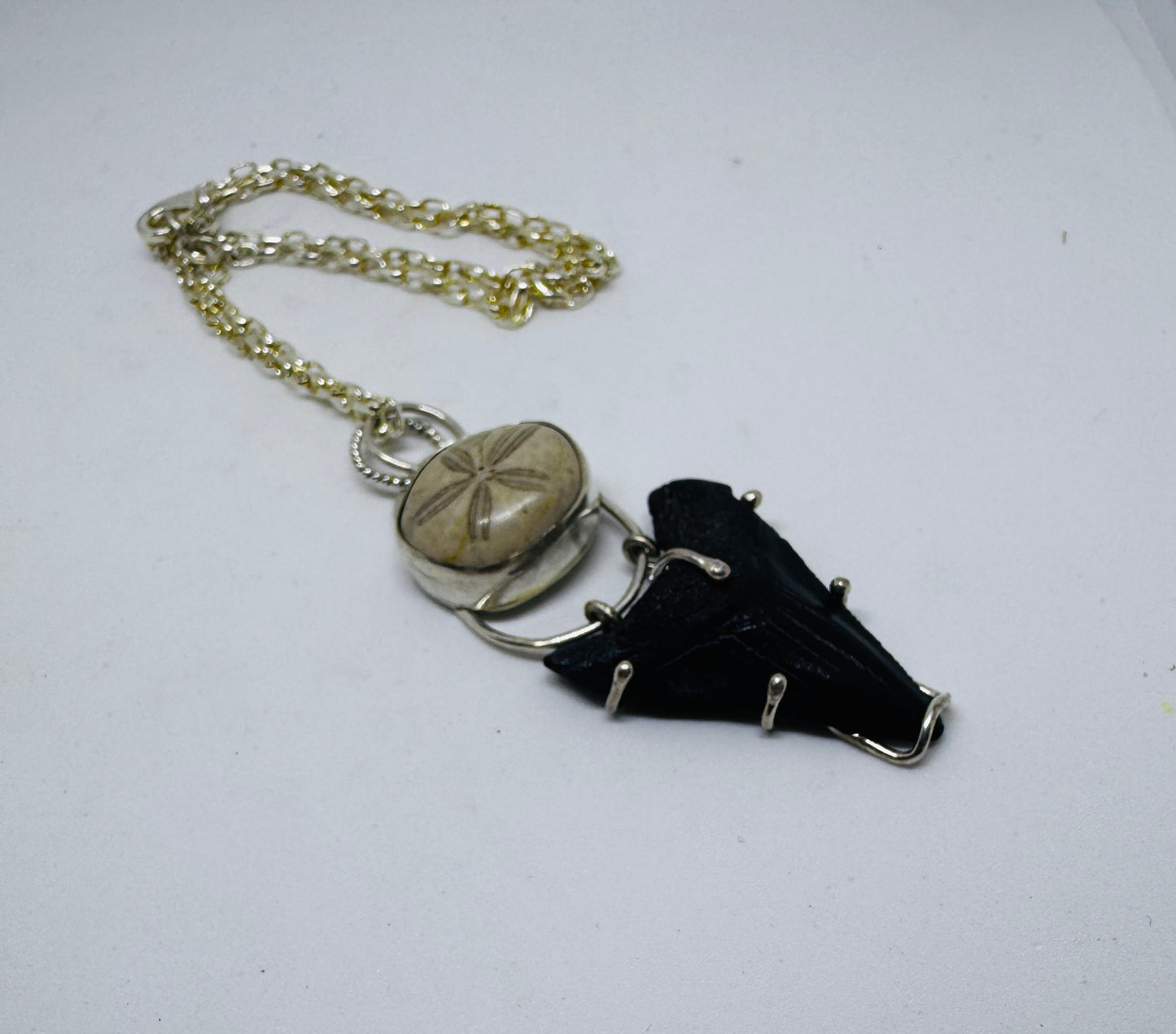 Shark Tooth and Sea Biscuit Necklace