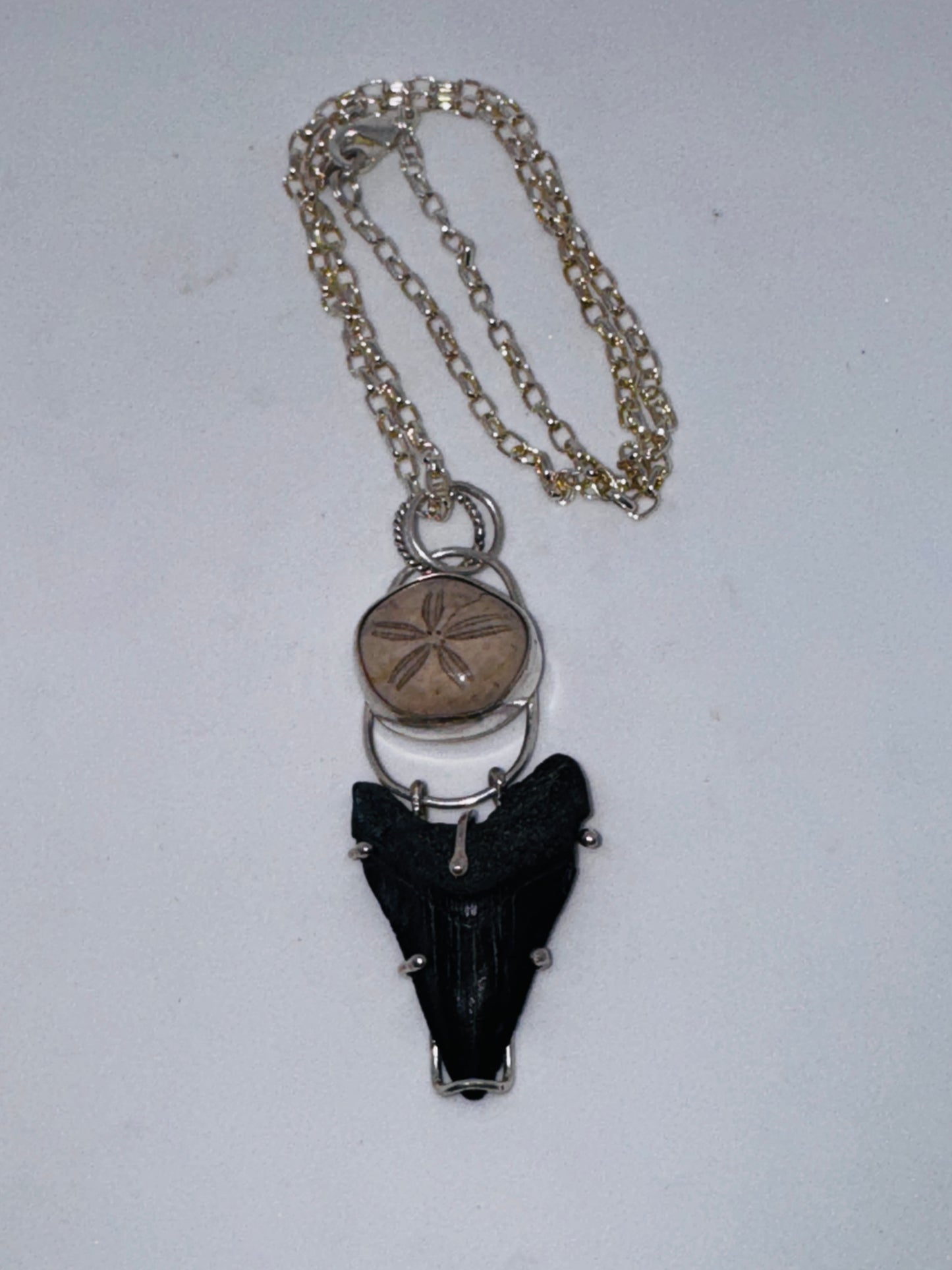 Shark Tooth and Sea Biscuit Necklace